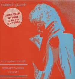 Robert Plant : Burning Down One Side